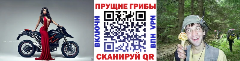 ссылка на мегу ONION  Бобров  Псилоцибиновые грибы Cubensis  хочу наркоту 